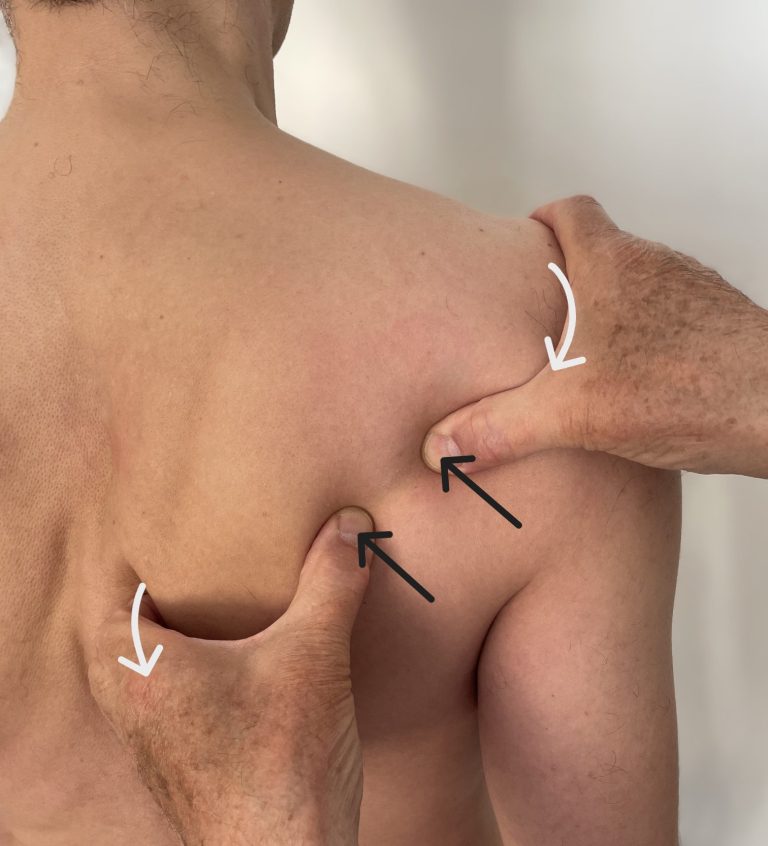 Bone Strain Relief am Schulterblatt